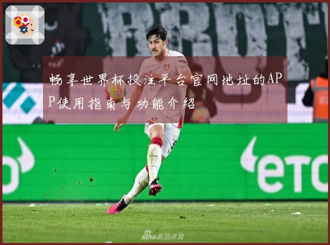 畅享世界杯投注平台官网地址的APP使用指南与功能介绍
