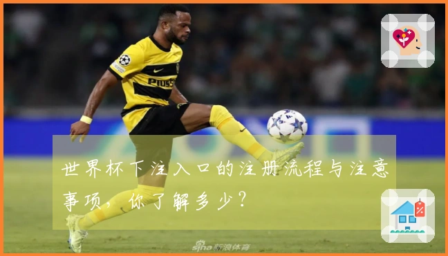 世界杯下注入口的注册流程与注意事项，你了解多少？