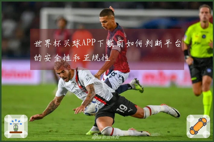 世界杯买球APP下载前如何判断平台的安全性和正规性