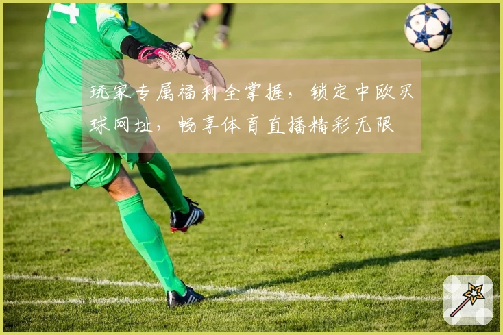 玩家专属福利全掌握，锁定中欧买球网址，畅享体育直播精彩无限