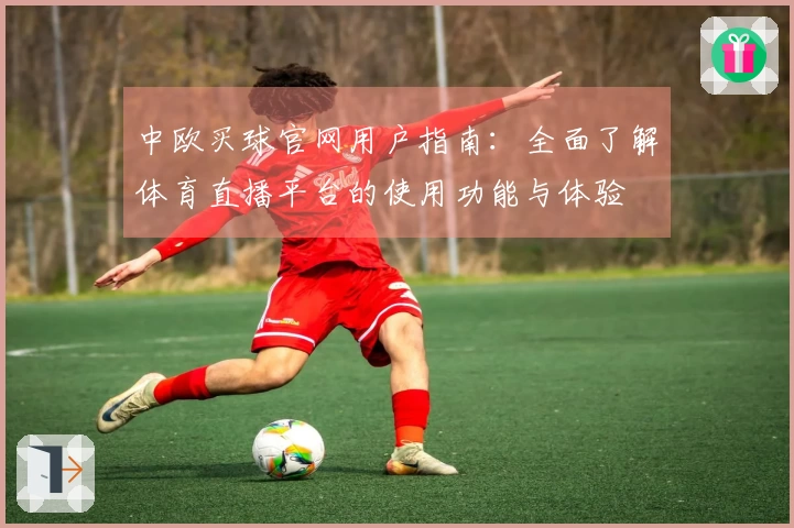 中欧买球官网用户指南：全面了解体育直播平台的使用功能与体验