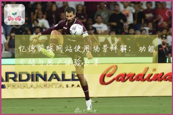 亿德买球网站使用场景详解：功能介绍与用户体验分享