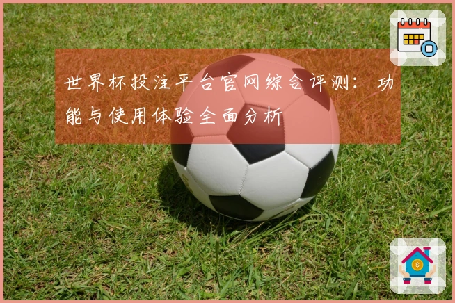 世界杯投注平台官网综合评测：功能与使用体验全面分析