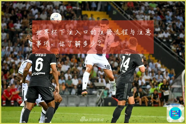 世界杯下注入口的注册流程与注意事项,你了解多少?