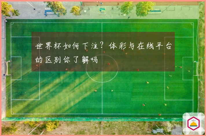 世界杯如何下注?体彩与在线平台的区别你了解吗
