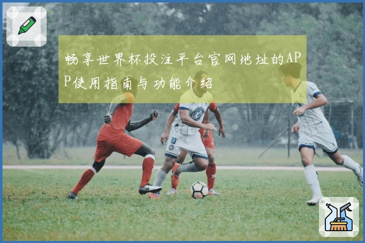畅享世界杯投注平台官网地址的APP使用指南与功能介绍