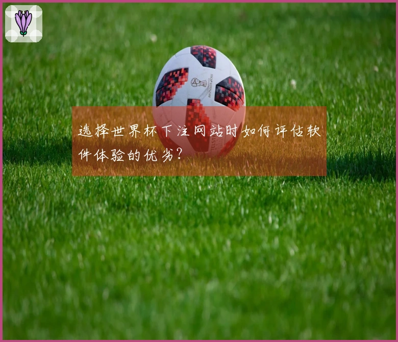 选择世界杯下注网站时如何评估软件体验的优劣？