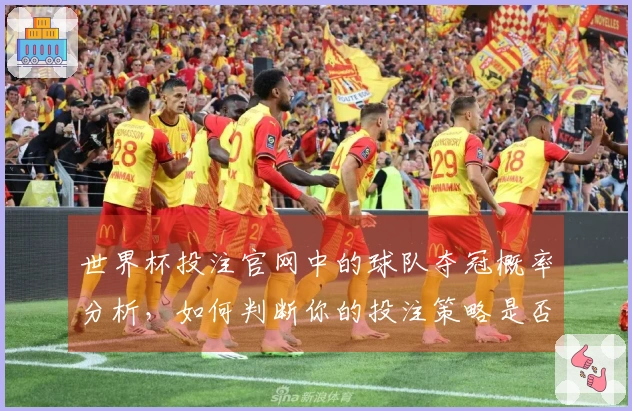 世界杯投注官网中的球队夺冠概率分析，如何判断你的投注策略是否合理？