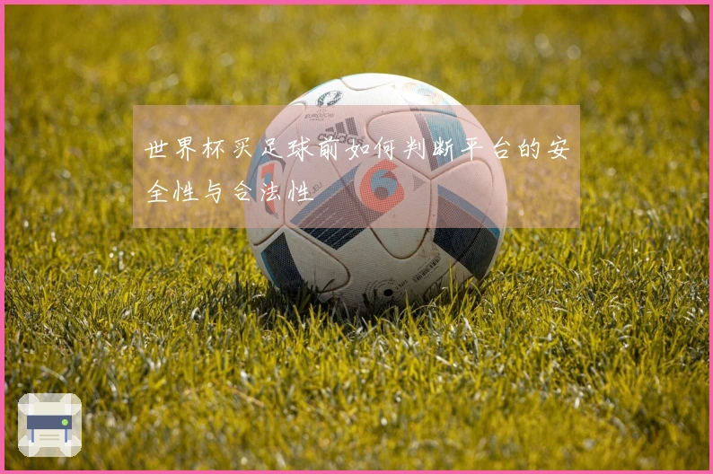 世界杯买足球前如何判断平台的安全性与合法性