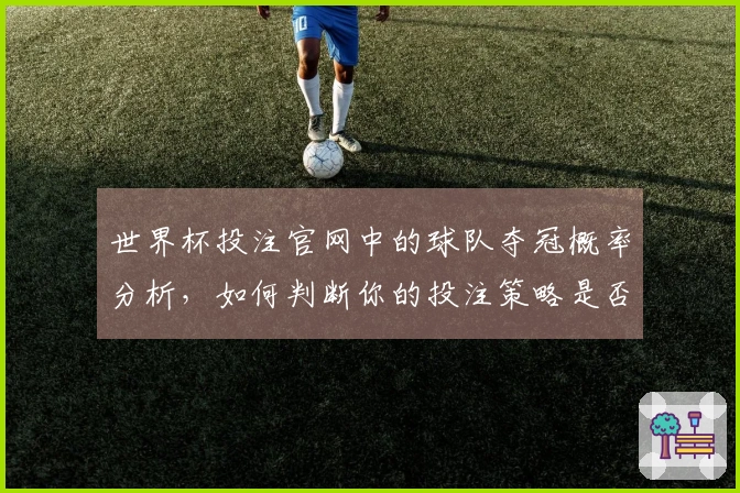 世界杯投注官网中的球队夺冠概率分析，如何判断你的投注策略是否合理？