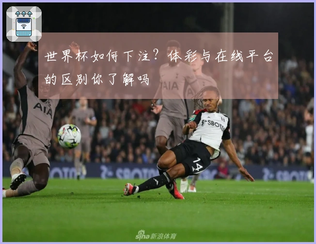 世界杯如何下注？体彩与在线平台的区别你了解吗