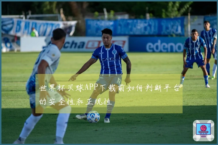 世界杯买球APP下载前如何判断平台的安全性和正规性