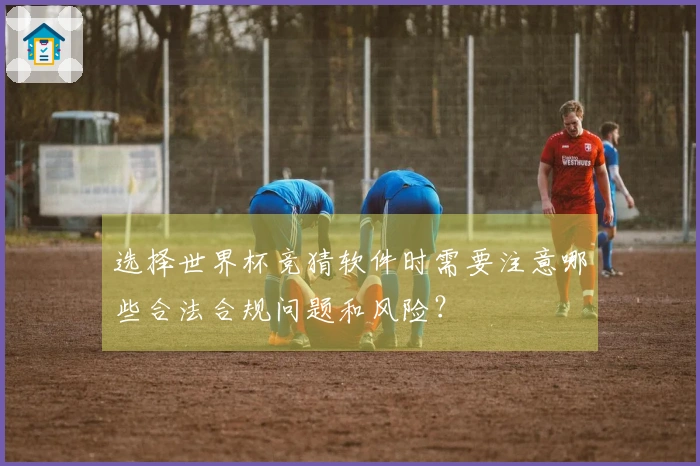 选择世界杯竞猜软件时需要注意哪些合法合规问题和风险？